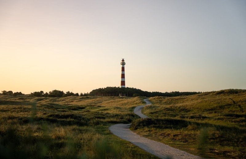 Fun for the children